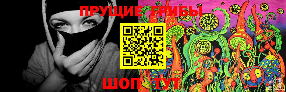 Галлюциногенные грибы прущие грибы  Псилоцибиновые грибы Cubensis  Вход с VPN  Зеленодольск 